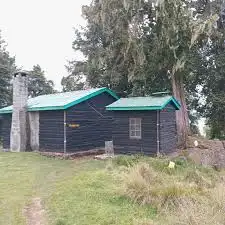 Met Station Camp
